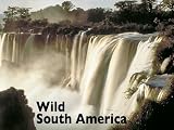 Wild South America: The Complete Series