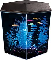 API Aquaview Corner Aquarium Kit with LED Lighting and Internal Power Filter, 2-1/2 Gallons
