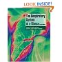 The Respiratory System at a Glance