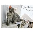 Egyptian Maus - Cats Of The Pharoahs - 12-month Calendar 2012 by