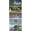 Monet, 5 Card Assortment Assorted Fold'n Please Cards - Set of 5 Cards