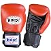 Windy-Heavy Hitter Training Gloves
