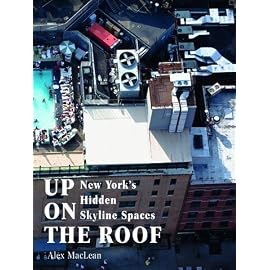 Up on the Roof: New York's Hidden Skyline Spaces