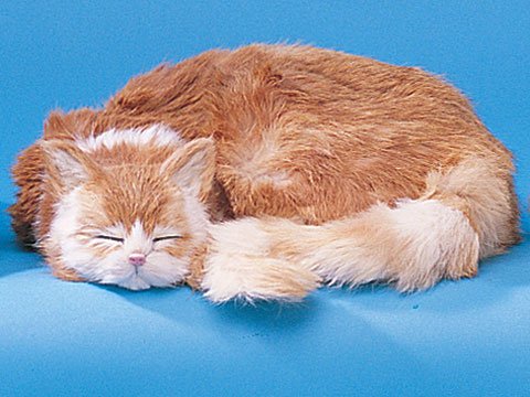 Cat Sleeping Collectible Figurine Kitten Statue Decoration Model New