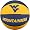 West Virginia Mountaineers