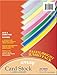 Pacon Card Stock, Pastel and Bright Jumbo Assortment, 10 Colors,  8-1/2