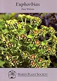 Euphorbias
