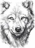 White Fang
