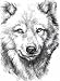 Book White Fang