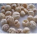 Phool Mahkana / Puffed Lotus Seed - 14oz