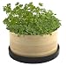 Bamboo Growing Kit of Organic Culinary Herbs