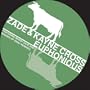 Euphonious (Shades of Gray heading deeper remix)