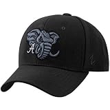 Zephyr Alabama Crimson Tide Black Vortex Fitted Hat