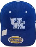 Kentucky Wildcats Youth Elite One Fit Hat