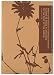 Eco-Friendly Diary Journal Nature Quote on Recycled Leather, Lined, 5 "x 7"