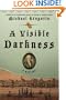 A Visible Darkness: A Mystery