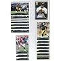 2009 Topps Pittsburgh Steelers Complete Team Set of 18 cards including Ben Roethlisberger, Troy Polamalu, Hines Ward, and more!