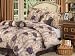 7 Pieces Purple Rose Flower Garden Comforter Set Bed-in-a-bag King Bed