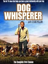 Dog Whisperer - Series 1 [DVD]