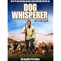 The Dog Whisperer - Season 1 [DVD]