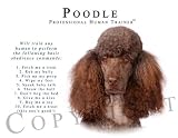image link - - B000MUTC0C