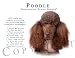 poodle6  - Poodle BROWN Human Trainer Mouse Pad Dog Mousepad