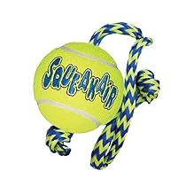 KONG Squeakair Tennis Ball with Rope Dog Toy, Medium, Yellow
