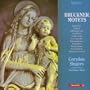 Bruckner Motets