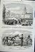 1861 Diophantus Horse Newmarket Warsaw Vicergal Castle