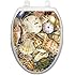 Toilet Tattoos TT-1077-O Tidal Treasures Seashells, Elongated