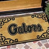 Florida Gators Doormat