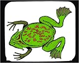 Decorated Mouse Pad with frog, green, spots, swimming, amphibian