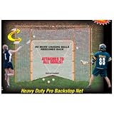 EZ Goal Lacrosse Backstop
