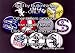 Set of 10 Chicago White Sox Pins 1.25