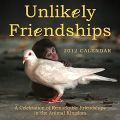 Unlikely Friendships 2012 Wall Calendar