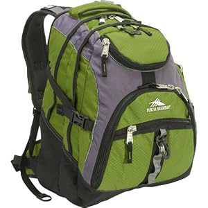 High Sierra Access Backpack