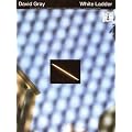 David Gray: White Ladder book cover