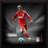 Fernando Torres 12x12 Dynamic Action Framed Photograph, Liverpool FC.