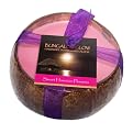 Bungalow Glow by Bubble Shack Hawaii Sweet Hawaiian Plumeria Coconut Shell Soy Wax Candle - 16oz