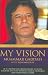 My Vision
