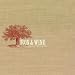 The Creek Drank the Cradle