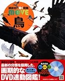 鳥 (講談社の動く図鑑MOVE)-