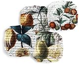 Rosanna Orchard Toscana Dessert Plates, Set of 4