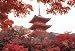 300P 秋色の清水寺 73-149