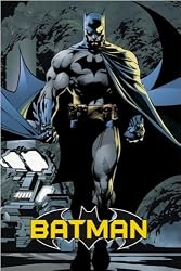 Batman - Comic Poster (The Dark Knight Walking At Night - Attack) (Size: 24" x 36")
