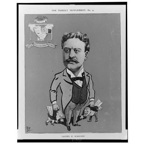 Carter Henry Harrison