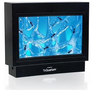 Fascinations AntWorks TvQuarium by Fascinations