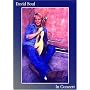 David Soul - In Concert