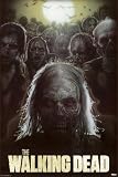 Save on  The Walking Dead Struzan Zombies TV Poster Print - 24x36 Poster Print, 24x36