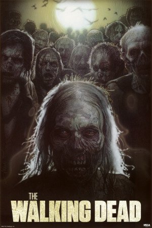 The Walking Dead Struzan Zombies TV Poster Print